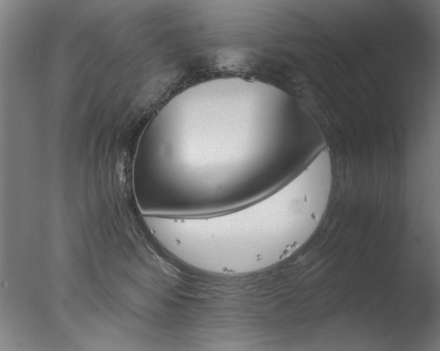 X0000077990424200610270952