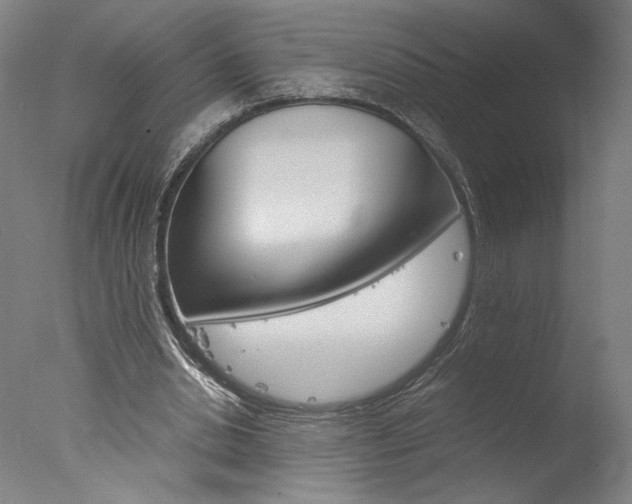 X0000077990438200610270951