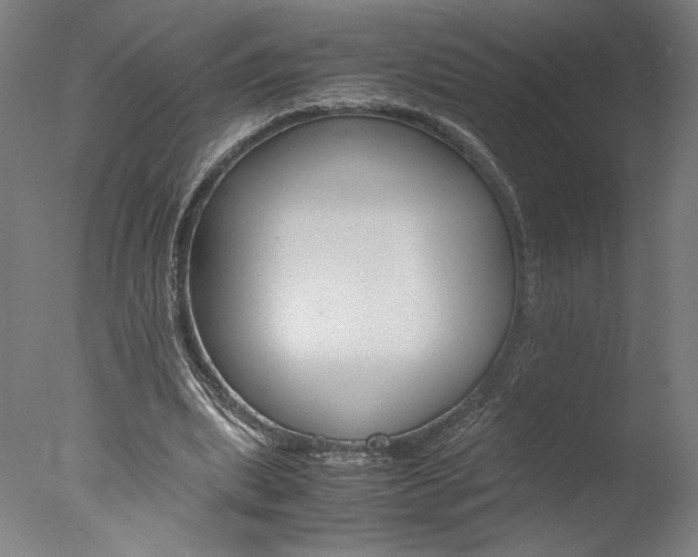 X0000077990439200610270951