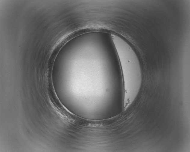 X0000077990440200610270951