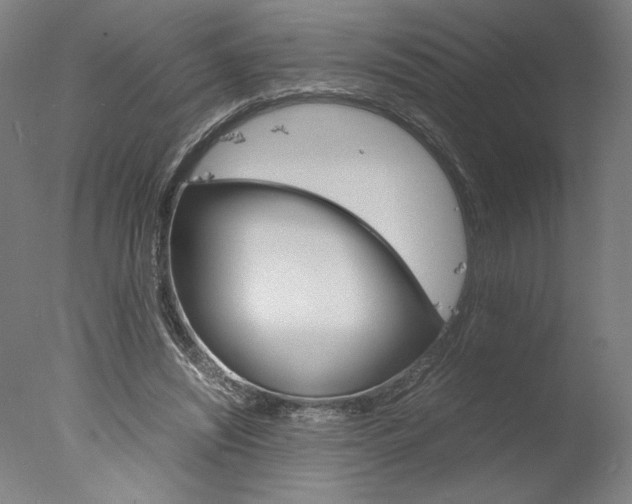 X0000077990444200610270951