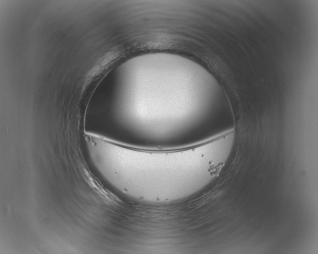 X0000077990446200610270951