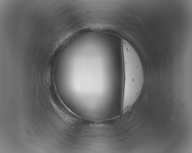 X0000077990448200610270951