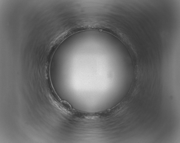 X0000077990450200610270951