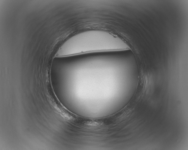 X0000077990453200610270951