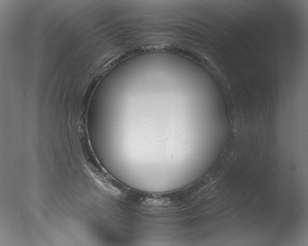 X0000077990455200610270951