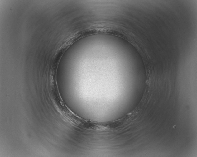 X0000077990456200610270951