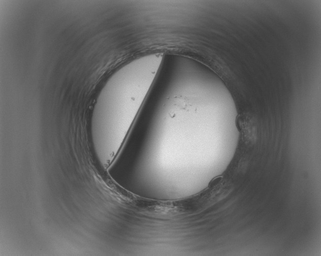 X0000077990458200610270951