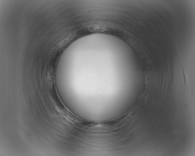 X0000077990460200610270951