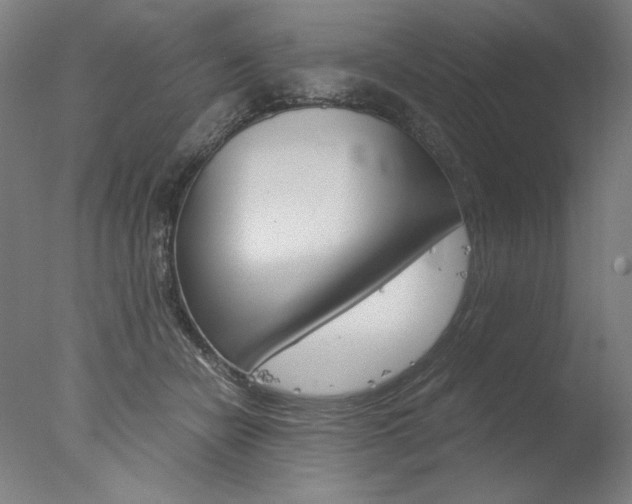 X0000077990462200610270951