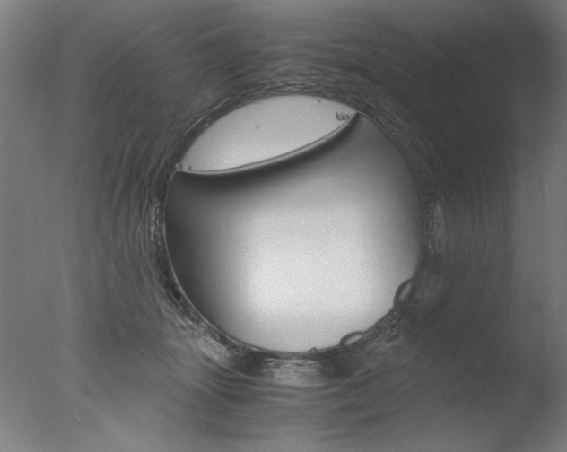 X0000077990463200610270951