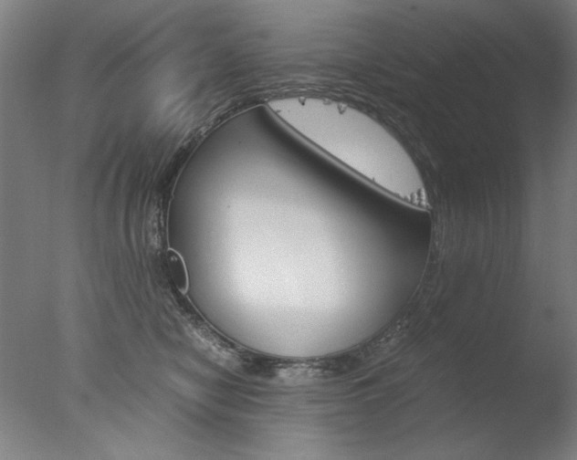 X0000077990470200610270951
