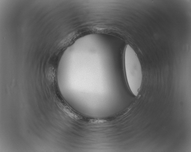 X0000077990476200610270951