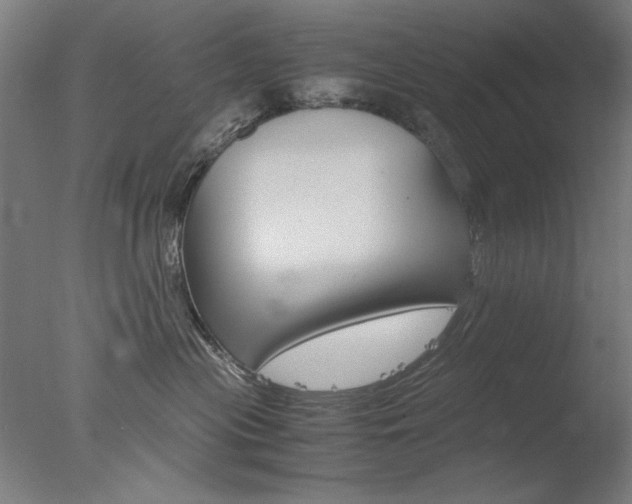 X0000077990477200610270951