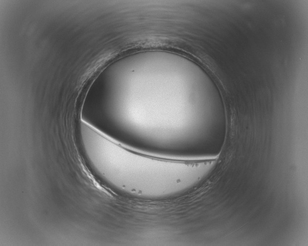 X0000077990485200610270951