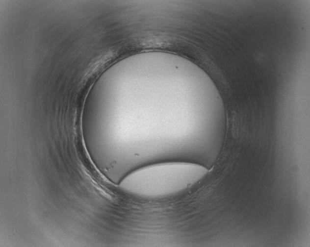 X0000077990490200610270950