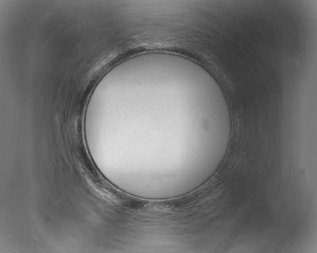 X0000077990491200610270950
