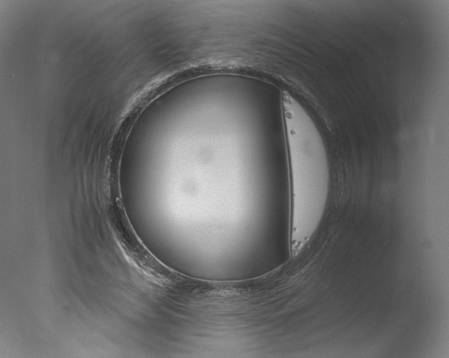 X0000077990492200610270950