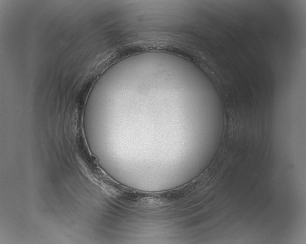 X0000077990498200610270950