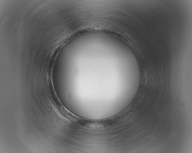 X0000077990500200610270950