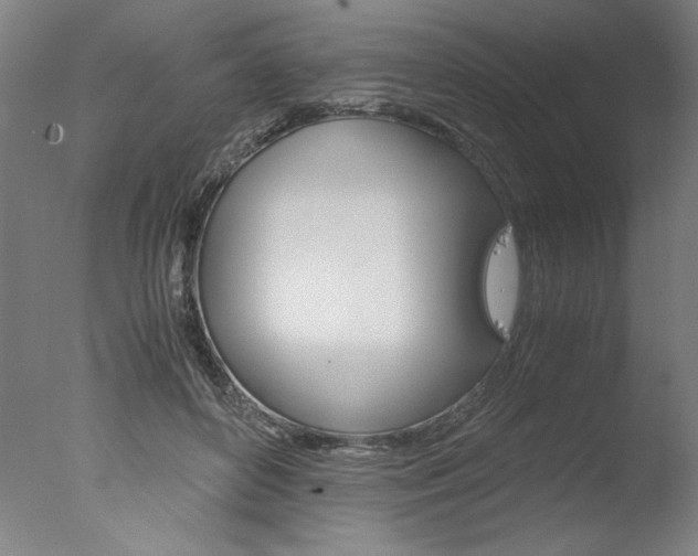 X0000077990504200610270950
