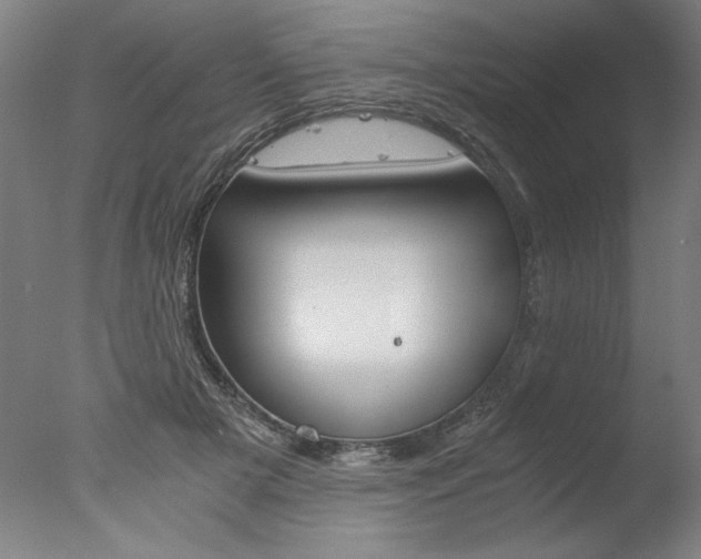 X0000077990505200610270950