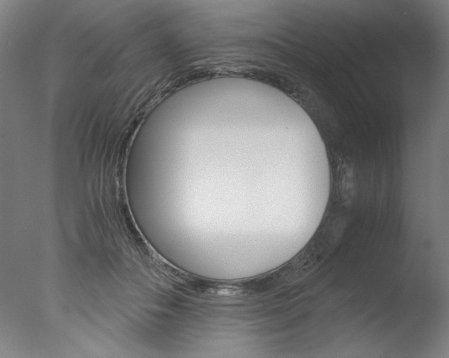 X0000077990506200610270950