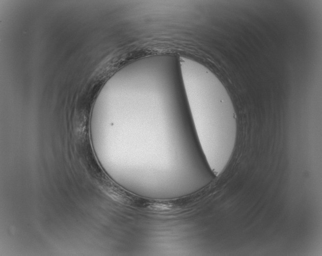 X0000077990507200610270950