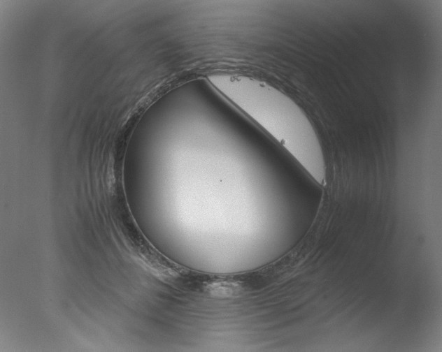 X0000077990508200610270950
