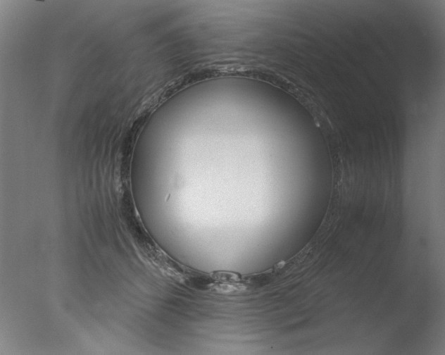 X0000077990512200610270950