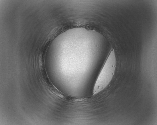 X0000077990516200610270950