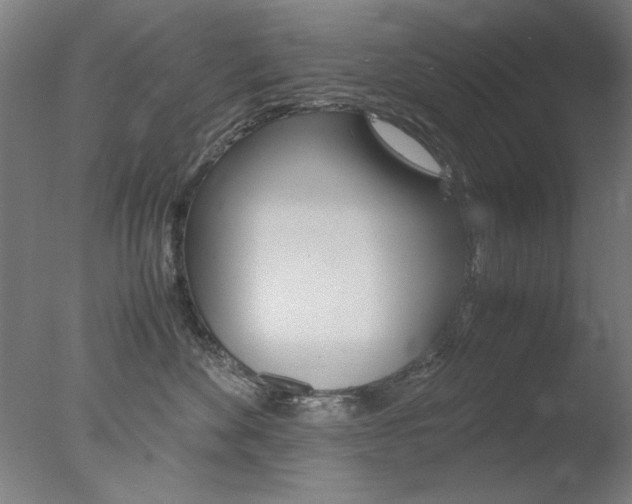 X0000077990524200610270950