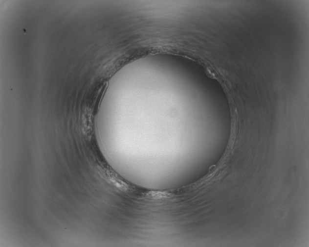 X0000077990528200610270950