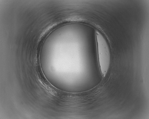 X0000077990531200610270949