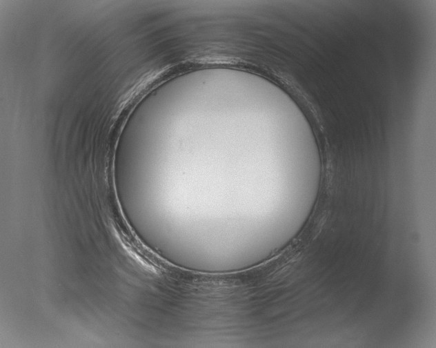 X0000077990533200610270949