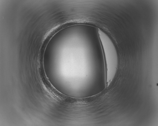 X0000077990536200610270949