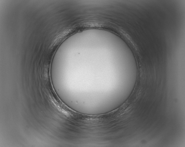 X0000077990537200610270949