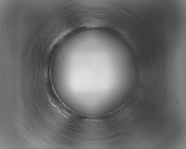 X0000077990539200610270949