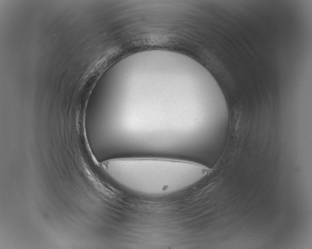 X0000077990542200610270949