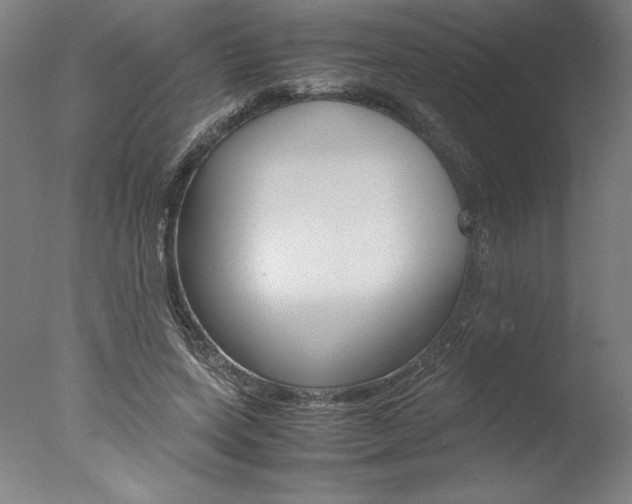 X0000077990543200610270949
