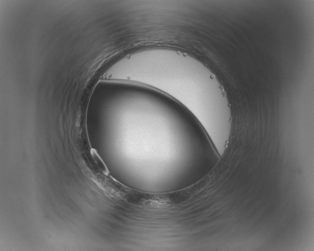 X0000077990548200610270949