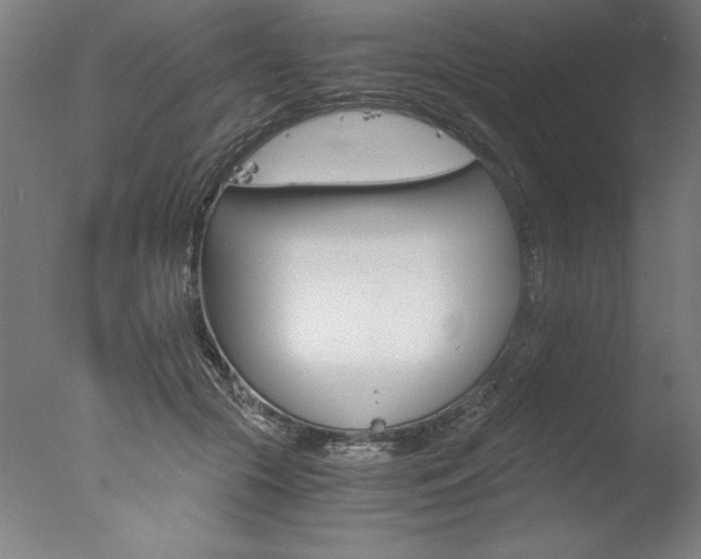 X0000077990553200610270949