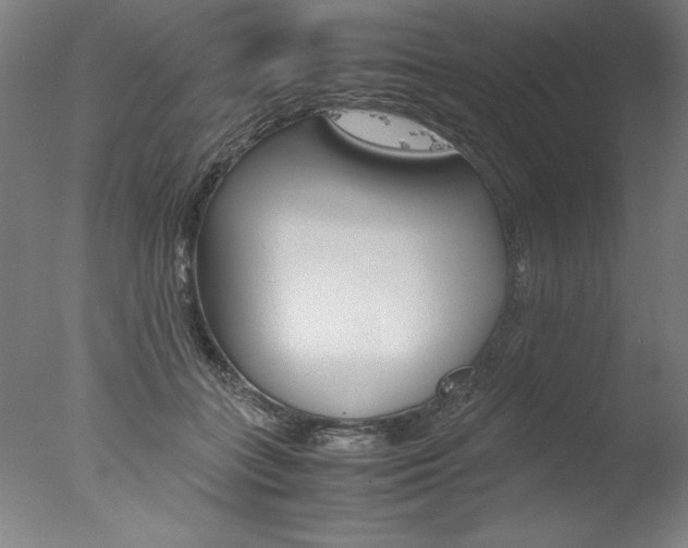 X0000077990555200610270949
