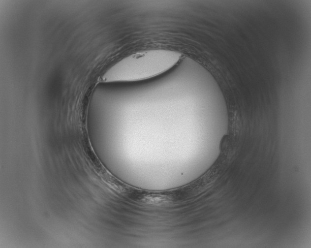 X0000077990557200610270949