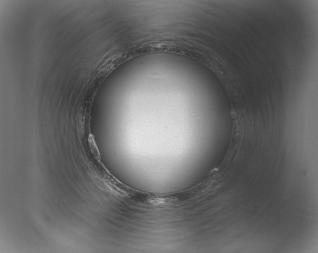 X0000077990558200610270949