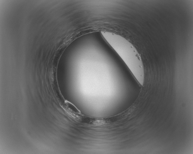 X0000077990562200610270950