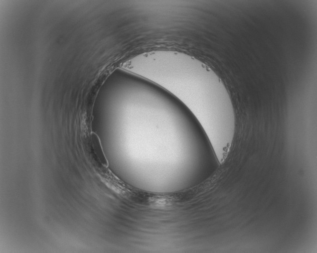X0000077990564200610270950