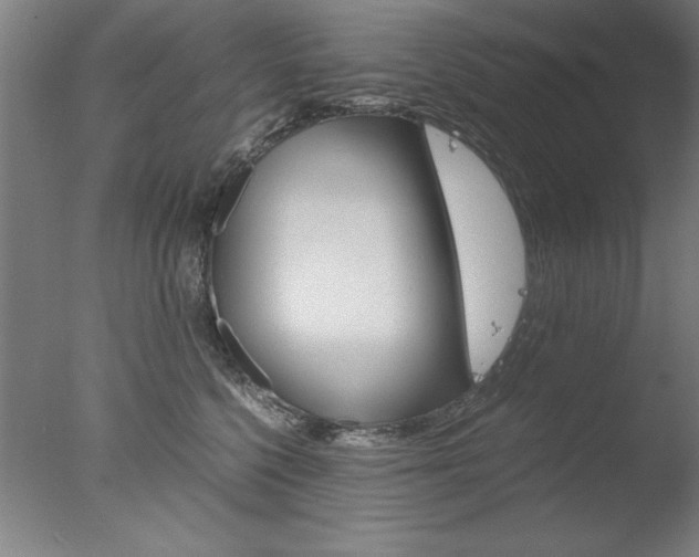 X0000077990568200610270950