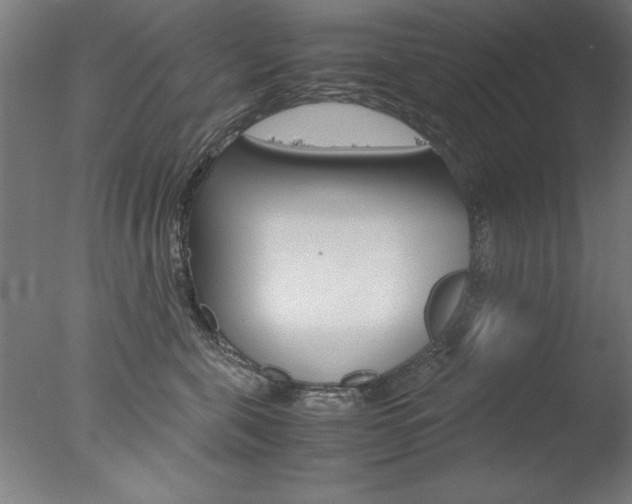 X0000077990571200610270950