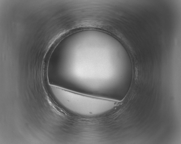 X0000077990580200610270949